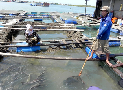 Đại lý vé máy bay tại Xã Tân Hòa Huyện Tân Thành01